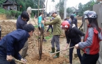 TẾT TRỒNG CÂY  TRÊN VÙNG CAO BIÊN GIỚI NĂM 2018
