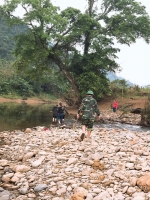 TẾT TRỒNG CÂY 2020